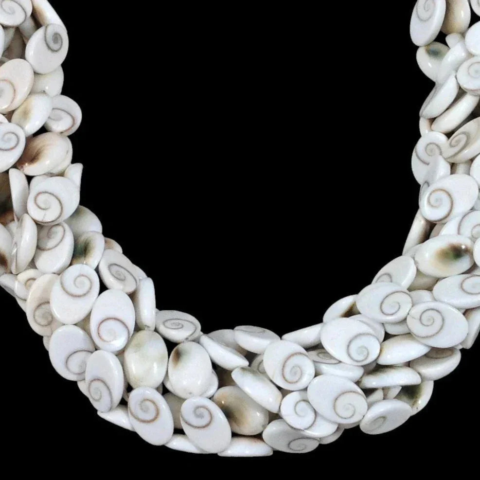 Shiva Shell, Pacific Cat's Eye Shell, Operculum, Gastropod, Oval